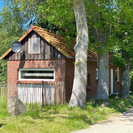 Hofgut Bisdamitz - Ferienhaus "Knoff" エクステリア 写真