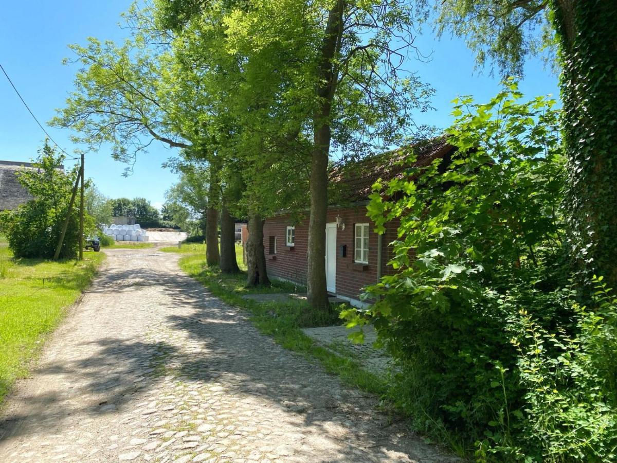 Hofgut Bisdamitz - Ferienhaus "Knoff" エクステリア 写真