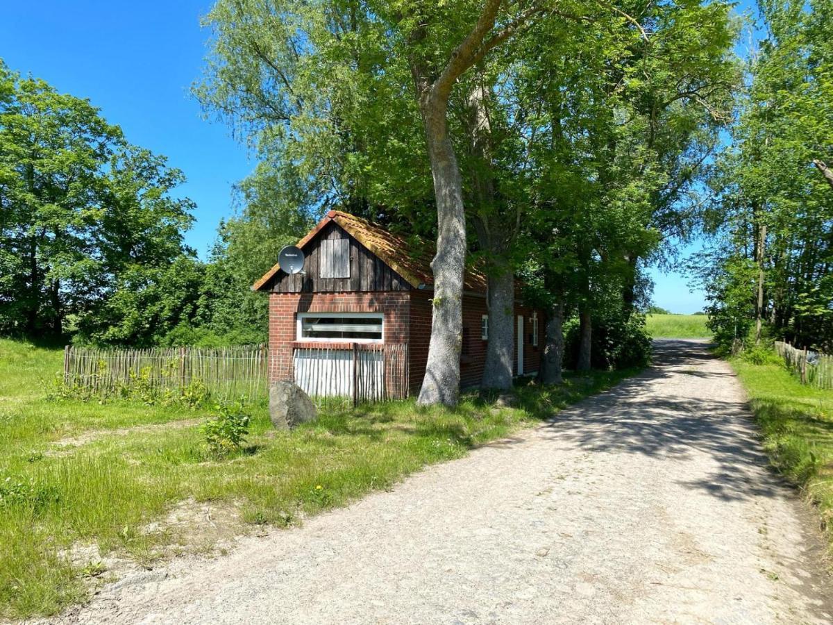 Hofgut Bisdamitz - Ferienhaus "Knoff" エクステリア 写真