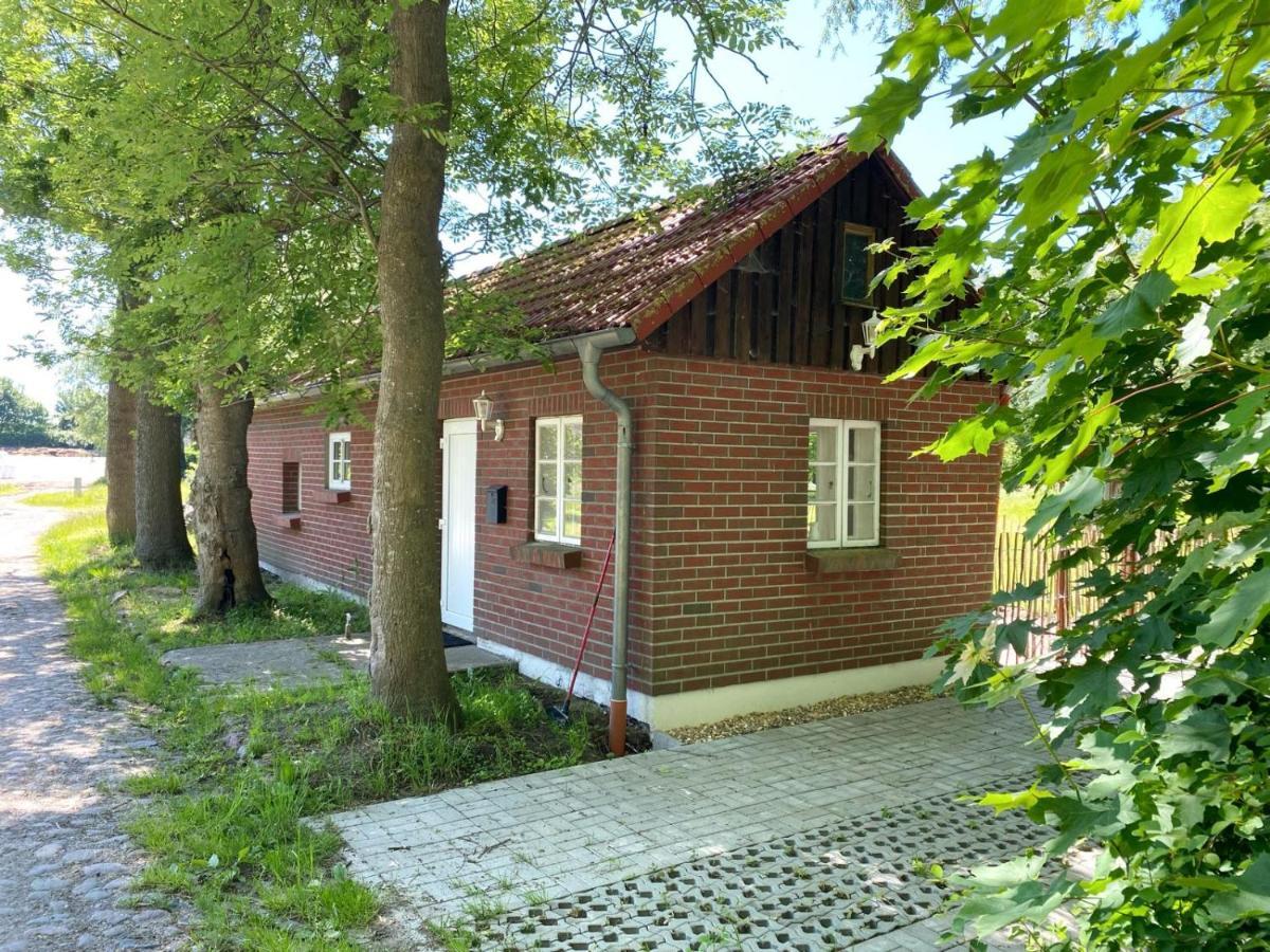 Hofgut Bisdamitz - Ferienhaus "Knoff" エクステリア 写真