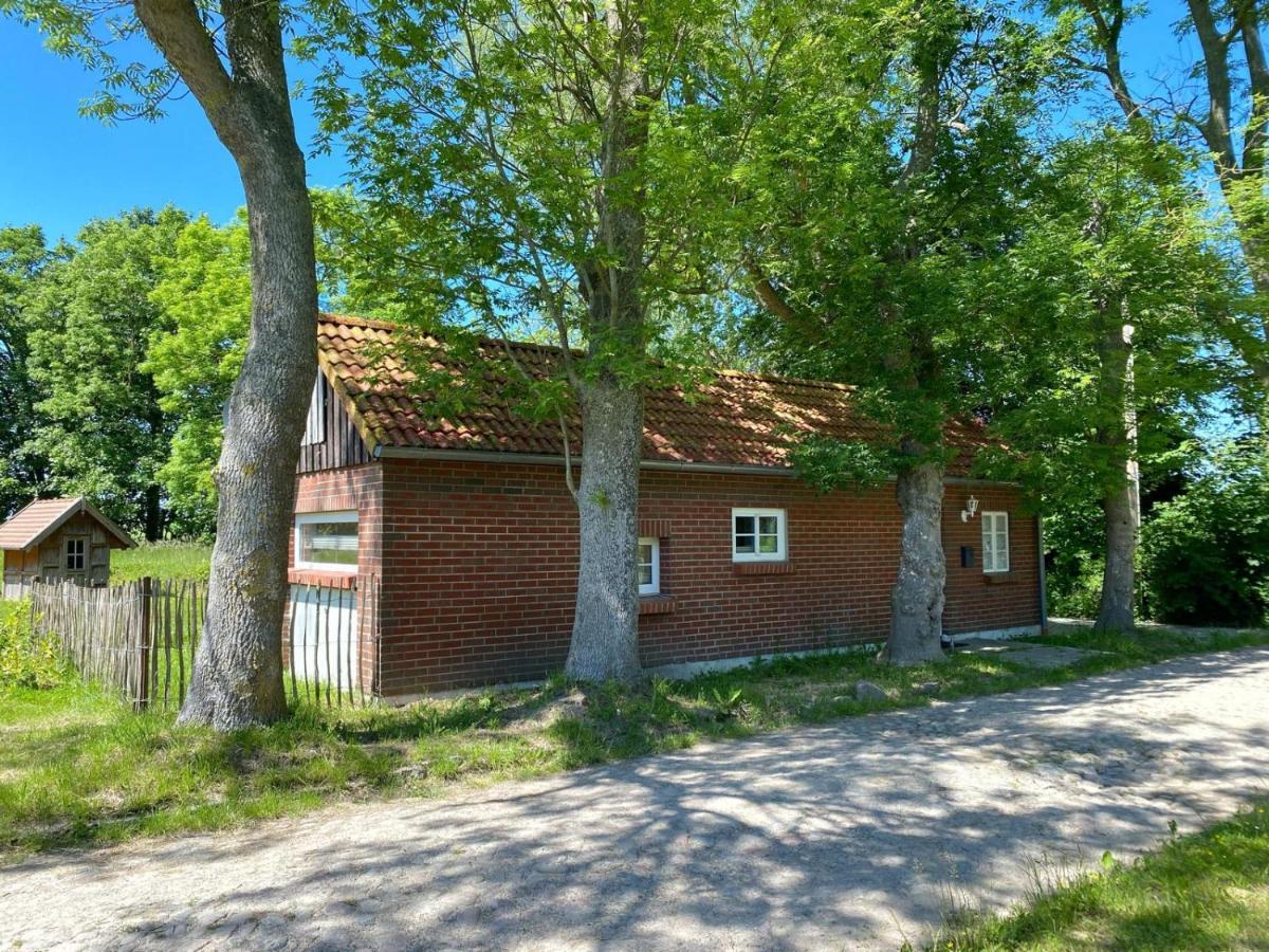 Hofgut Bisdamitz - Ferienhaus "Knoff" エクステリア 写真